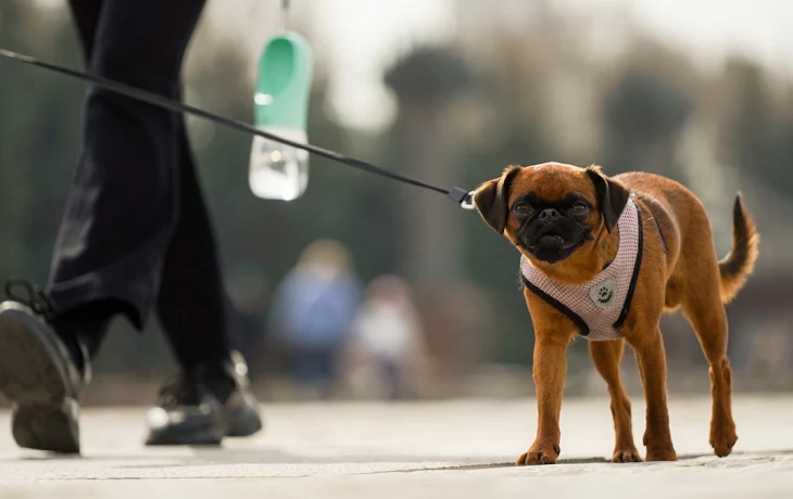 Перестроится на летний лад: синоптик Ильин рассказал, когда в Москву вернется тепло Перестроится на летний лад: синоптик Ильин рассказал, когда в Москву вернется тепло