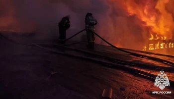 Пожар на кирпичном заводе в Смоленске локализован на площади 2 тыс "квадратов"
