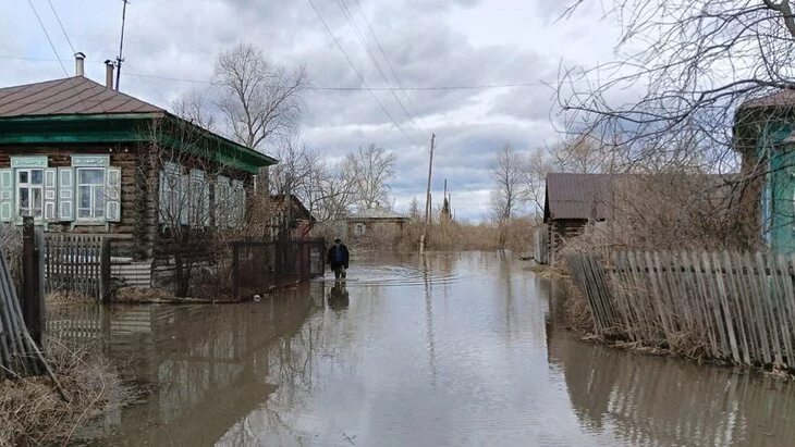 Вода начала заходить на улицы сел Курганской области Вода начала заходить на улицы сел Курганской области