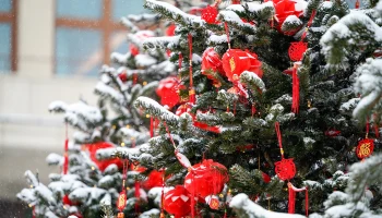 Медиабанк «Мосфото» показал, как в столице встречают китайский Новый год Медиабанк «Мосфото» показал, как в столице встречают китайский Новый год