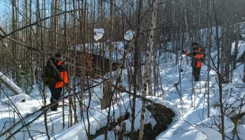 Спасатели рассказали о ходе поисков пропавшей в тайге семьи Усольцевых