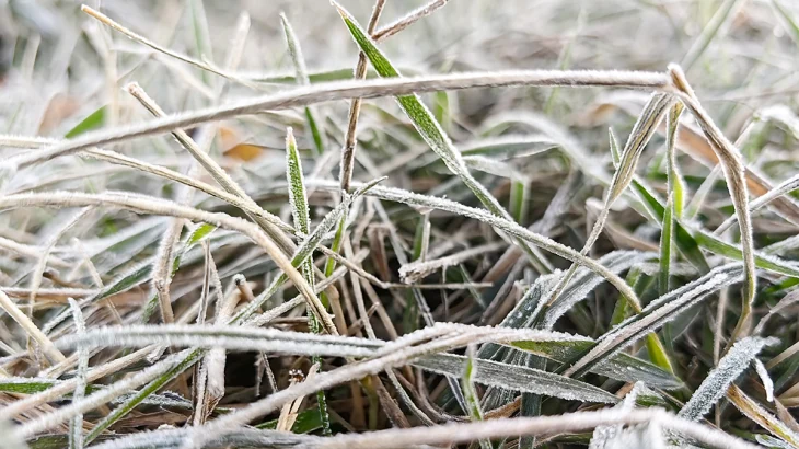 Заморозки придут в европейскую часть России в ближайшие дни