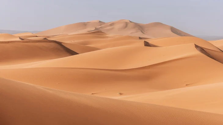 В пустыне Невады найдено 300 человеческих останков В пустыне Невады найдено 300 человеческих останков