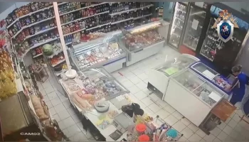 СК: средства от насекомых изъяты из магазинов поселка под Красноярском, где погибли дети