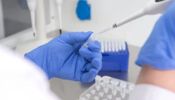 Несоответствия в мясе из Латинской Америки зафиксировали в РФ