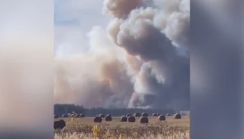 Режим ЧС ввели в Спасском районе Рязанской области из-за угрозы возгорания жилых домов