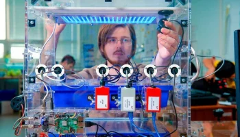 Столичные предприятия увеличили объем производства игрушек Столичные предприятия увеличили объем производства игрушек