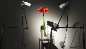 &laquo;Мосбилет&raquo; приглашает на вторую международную биеннале &laquo;Искусство будущего&raquo;