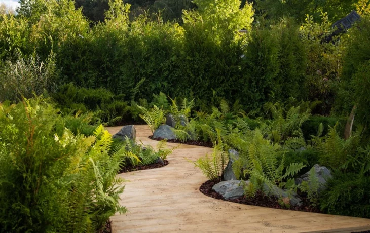 Москвичей пригласили на фестиваль исторических садов в «Царицыне» этим летом Москвичей пригласили на фестиваль исторических садов в «Царицыне» этим летом