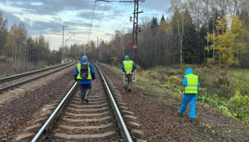 Следователи обнаружили фрагменты частей тела пропавшего подростка из Лобни