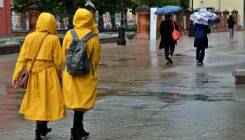 Городские службы Москвы работают в усиленном режиме из-за непогоды