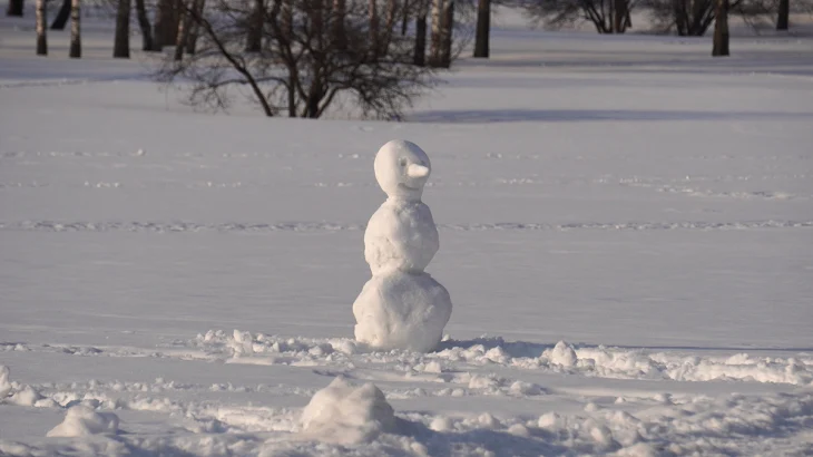 Тишковец предупредил о мощном половодье в Москве из-за рекордных сугробов Тишковец предупредил о мощном половодье в Москве из-за рекордных сугробов