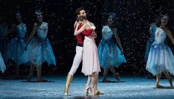 Спектакли о Щелкунчике можно посетить с помощью сервиса "Мосбилет"