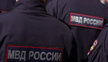 Полиция выяснит обстоятельства инцидента с мужчиной с тремя ежами в Подольске