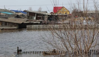 Уровень воды в Ишиме Тюменской области превысил исторический максимум