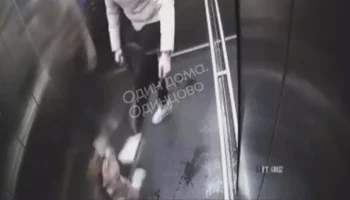 Полиция начала проверку после избиения собаки в лифте в Подмосковье