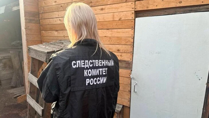 Жительница Красноярского края задержана по подозрению в убийстве трех детей