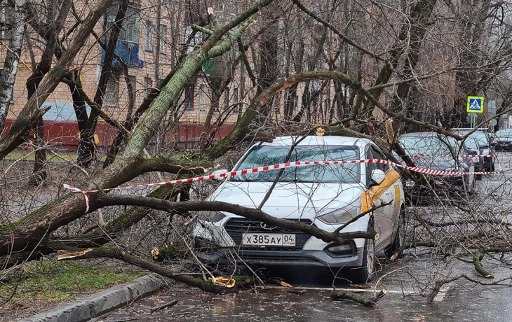 Шторм в Москве опрокинул остановки и деревья
