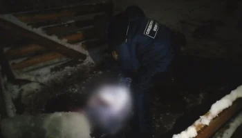 Тела двух девушек найдены в ходе расследования дела жителя Подмосковья