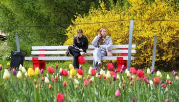 Синоптик Ильин пообещал москвичам скорое наступление устойчивой весенней погоды