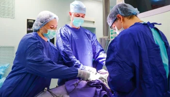 Собянин: Объем операций по трансплантации за пять лет вырос более чем вдвое