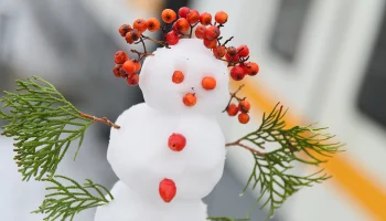 Зимней сказки не будет? Когда в Москве образуется устойчивый снежный покров