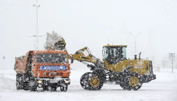 Ребенок погиб под машиной в Петропавловске-Камчатском из-за наледи на дороге
