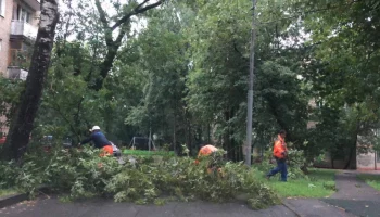 Городские службы ликвидируют последствия непогоды в Москве