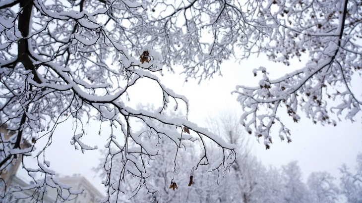 Синоптик Позднякова рассказала, какая погода ждет москвичей 23 февраля Синоптик Позднякова рассказала, какая погода ждет москвичей 23 февраля