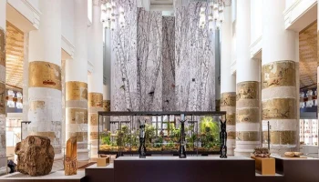 В Биологическом музее отметят Всемирный день архитектуры