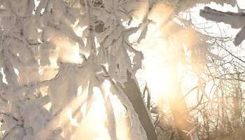 Синоптики пообещали москвичам облачную погоду без осадков 30 января