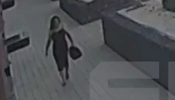 Екатеринбуржцы спасли рыжего котенка, выброшенного в мусорный контейнер у ЖК