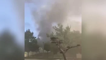 Пожар в парке Галицкого в Краснодаре потушен