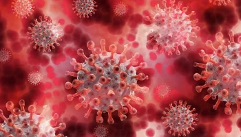 Иммунолог Крючков рассказал о связи смертельной «японской» инфекции с коронавирусом