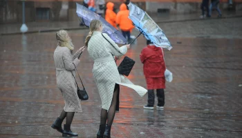 МЧС предупредило о ливне с грозой и порывистым ветром в Москве вечером 28 сентября