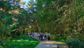 В проекте "Московское долголетие" начались занятия по лесотерапии