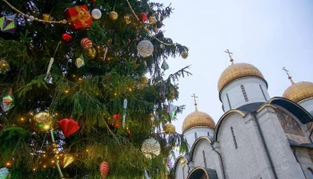 Демонтаж новогодних елей начали в Москве