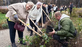 Более 30 тысяч многолетников высадили в разных районах Москвы