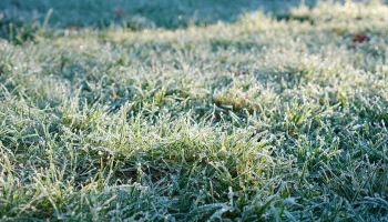 Центр «Фобос»: Еще одна волна холода в Москве ожидается на следующей неделе