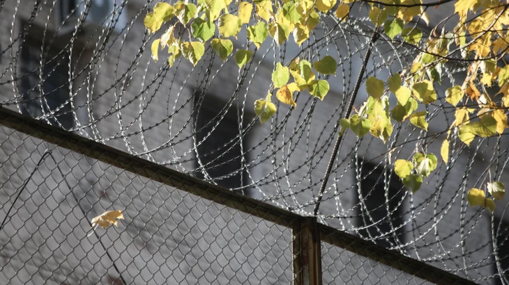 Стрит-арт-художника приговорили к 1,5 года колонии за выброшенного в окно кота Стрит-арт-художника приговорили к 1,5 года колонии за выброшенного в окно кота