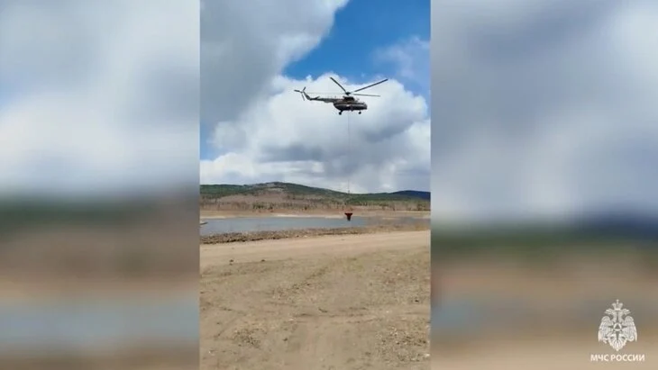 94 виновника природных пожаров выявлены в Забайкалье 94 виновника природных пожаров выявлены в Забайкалье