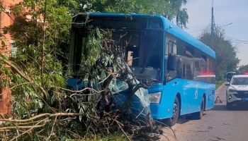 Автобус врезался в дерево в Серпухове