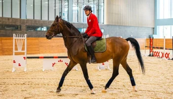 Сергей Собянин: Московский ипподром станет одним из лучших в мире Сергей Собянин: Московский ипподром станет одним из лучших в мире