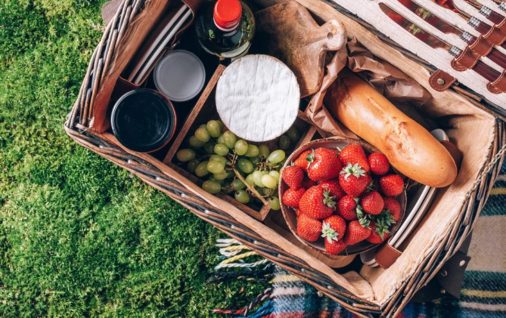 Сервис для бронирования пикниковых зон запустят в московских парках Сервис для бронирования пикниковых зон запустят в московских парках