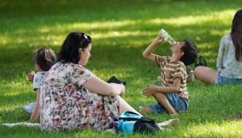 МЧС предупредило о высокой пожароопасности с 30 мая по 1 июня в Москве и области