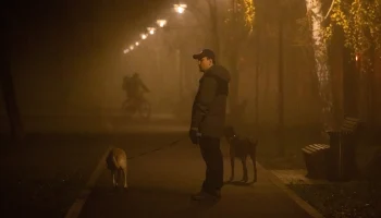 Синоптик Позднякова — о тумане в Москве: В воздухе накапливаются вредные примеси