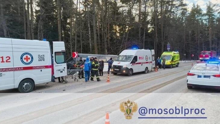 Уголовное дело возбуждено по факту съезда автобуса в кювет в Орехове-Зуеве