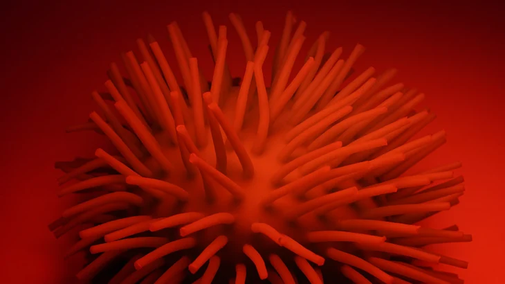 Ученые предупредили о риске пандемии птичьего гриппа опаснее коронавируса Ученые предупредили о риске пандемии птичьего гриппа опаснее коронавируса