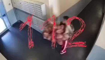 Жительница ЖК в Путилкове оборвала гортензию в палисаднике и попала на видео