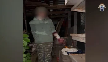 Ударивший молотком двух девочек подросток задержан в Домодедове